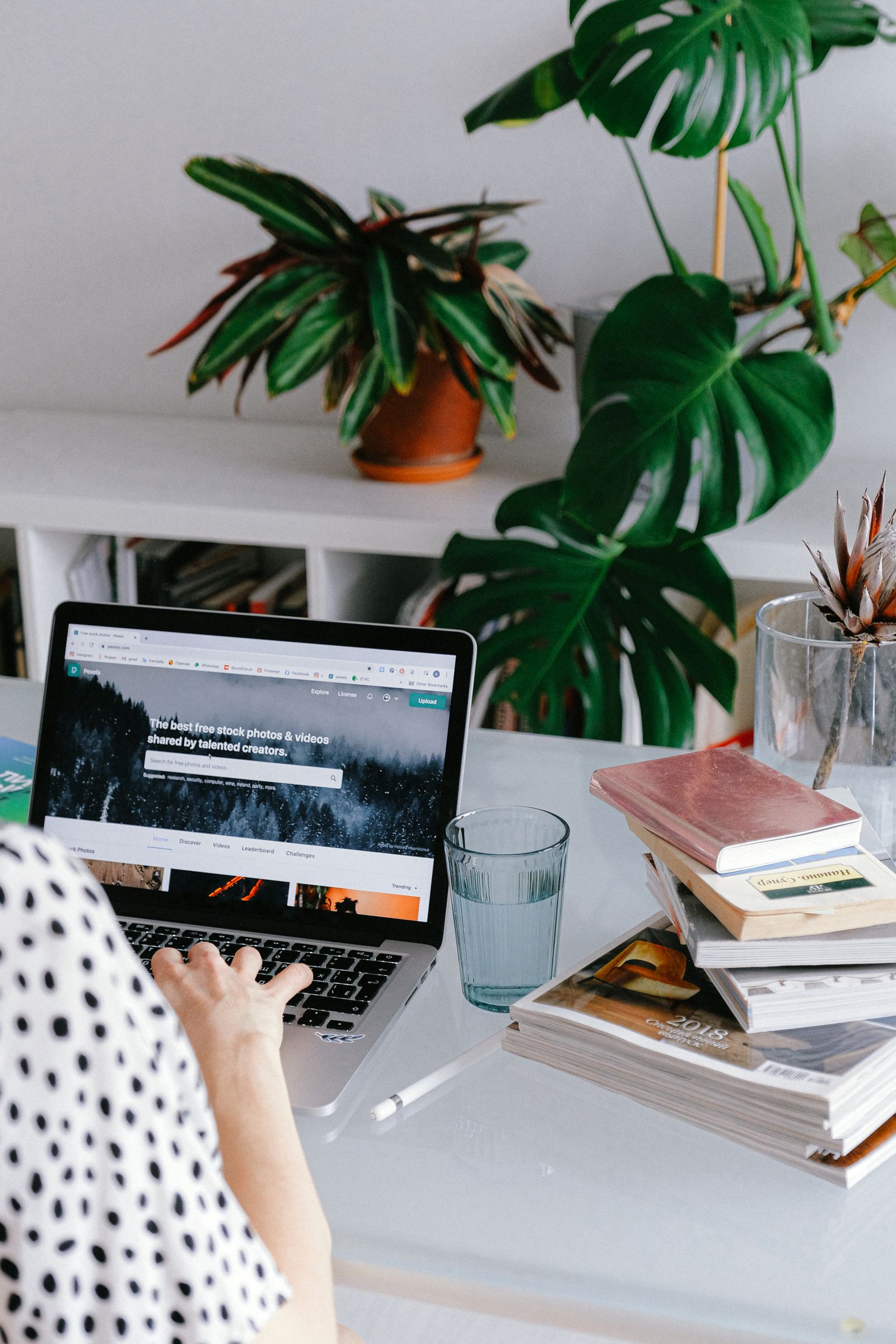Bureau à domicile épuré avec ordinateur portable et plante verte